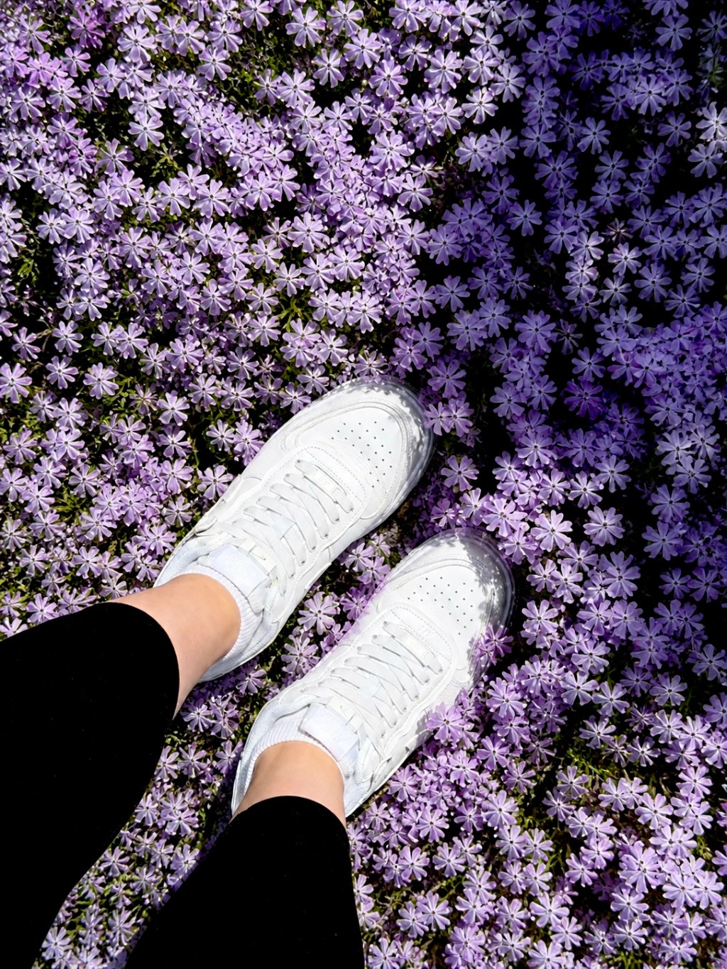 No-tie shoelaces